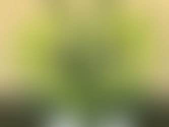 ちょっと寄り道