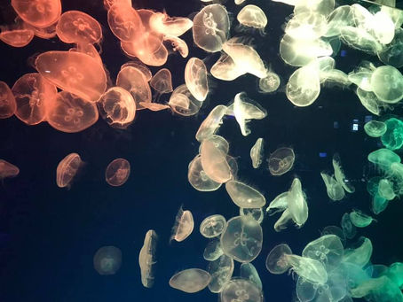 ミスが多かった日