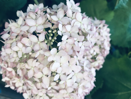 潜在意識の使い方