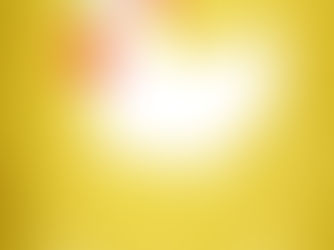 Pheasant with mushrooms, baby onions and tarragon