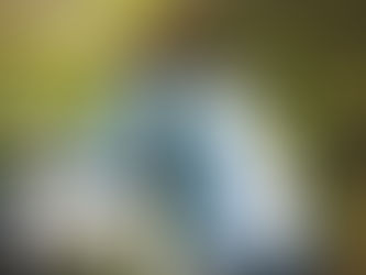 โซล่าเซลล์โรงงาน ติดตั้ง