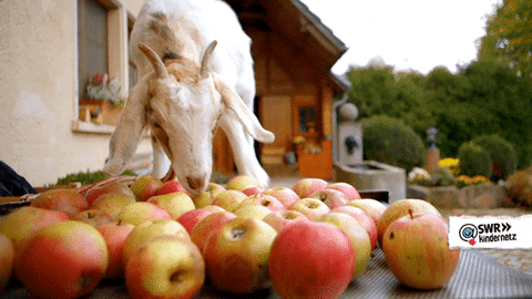 They Say an Apple A Day - But Is Food Really Medicine?