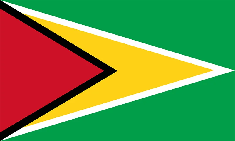 Flag-Guyana.webp