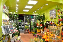 spécialiste éclairage magasin et professionnels