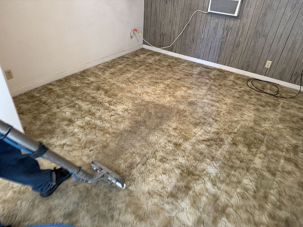 before-after-carpet-cleaning-modesto-ca-080