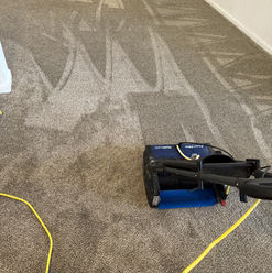 carpet machine scrub cleaning 