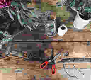 scissors on wooden table