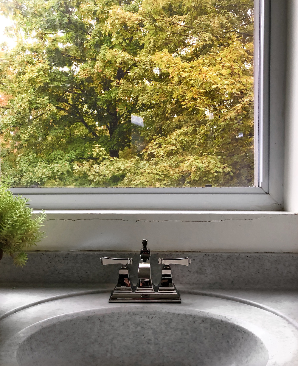 Speakman faucet from rejuvenation