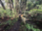 wed walk-36.jpg