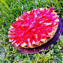 Frutillas con crema diplomata