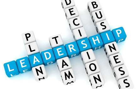 leadership-dice.jpg