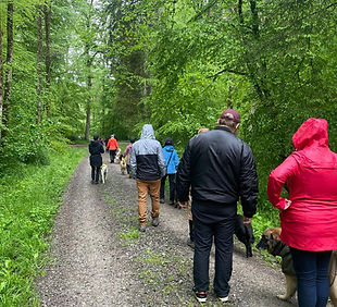 WhatsApp Image 2025-06-17 at 16.29.41.jpeg