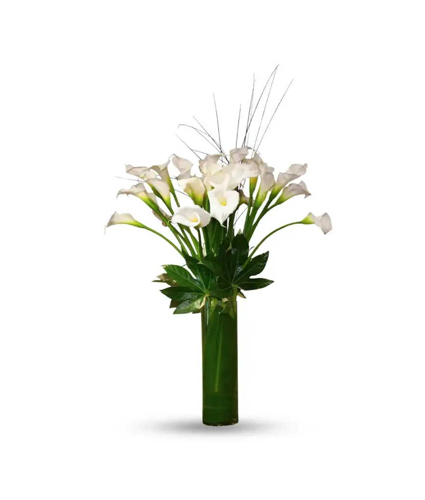Swan Song – Graceful white calla lilies in a tall vase. Sympathy flowers delivered in Oceanside & East Rockaway, NY.