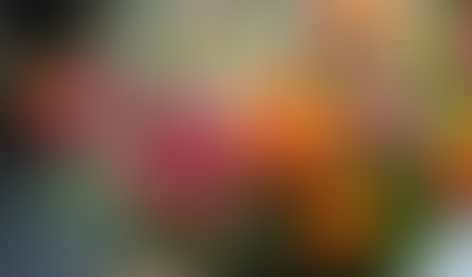 Quick Same-Day Flower Delivery Options