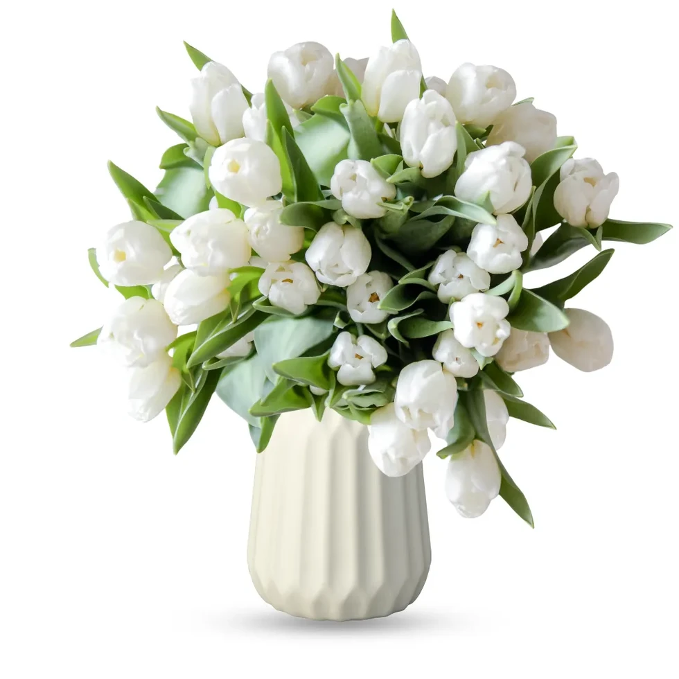 Soothing white Get Well flowers in vase. Designer’s choice by Flowers by Mike, Oceanside & East Rockaway delivery.