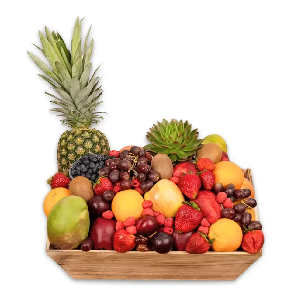 Exotic fruit basket with berries, pineapple, and succulent – East Rockaway & Oceanside NY delivery