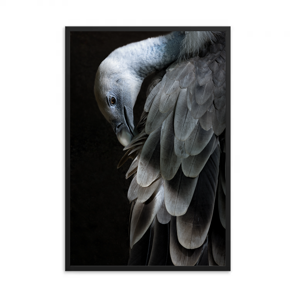 Thumbnail: Poster
