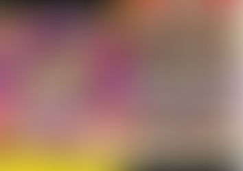 ELASTIC ASSHOLES #11 (Corridas Anales, Bareback)