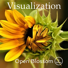 Yellow sunflower illustrating the Open Blossom visualization technique in HypnoBirthing.
