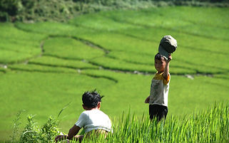 Montañas de Sapa, en Vietnam