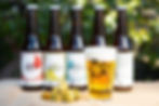 HOPJAPAN