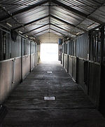 IMG_6229.JPG