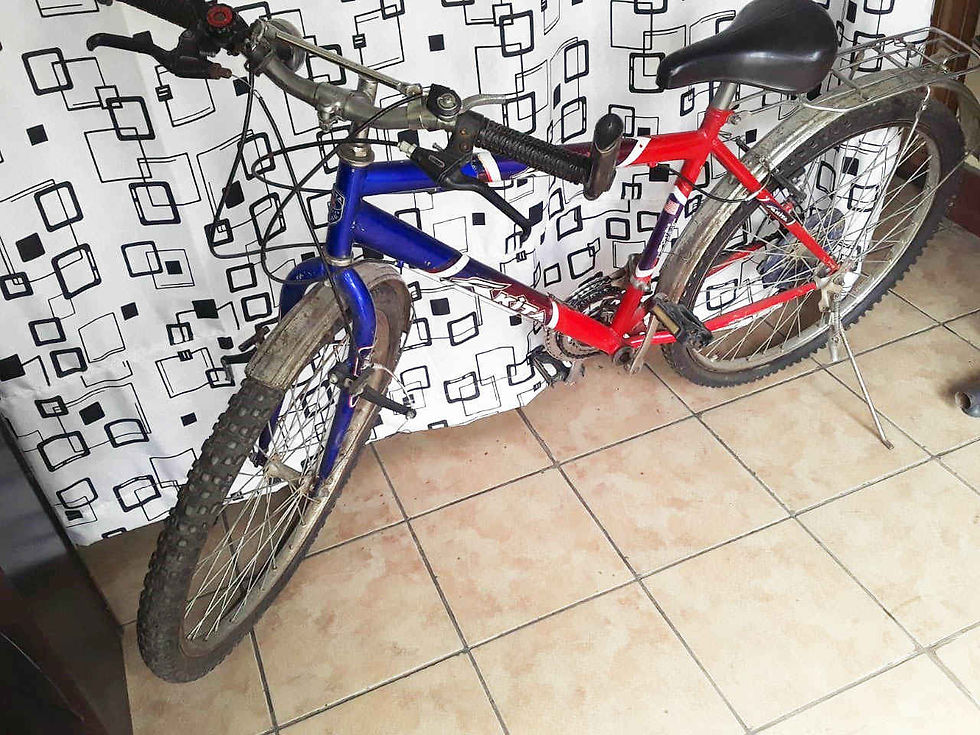 Miniatura: Bicicleta Akita