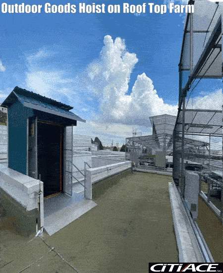 pd03Cargo-08.gif