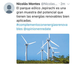 Opinión 13
