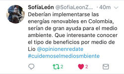 Opinión 4