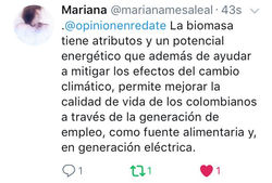 Opinión 6