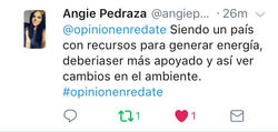 Opinión 7