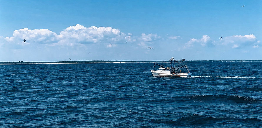 새벽 바다에서 트롤링 어선2.jpg