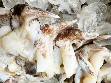 봄 끝자락을 즐기는 별미, 새조개