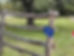 A 911 address sign hanging from a fence