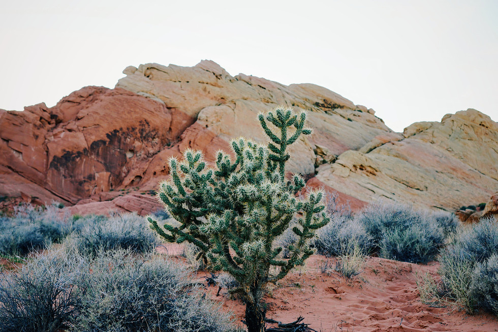 America-State-Park-Valley-Fire-Nevada-ca