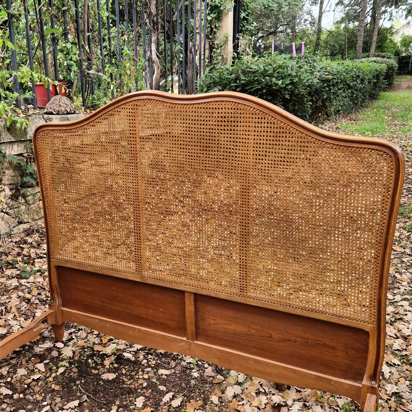 Absolutely Beautiful French Cane Bed Rocaille