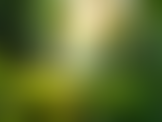 The Need for Charitable Funding in Education Across Pakistan and the UK