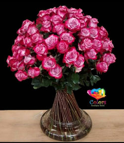 ramo de rosas( rosa )