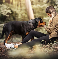 Jaky´s Hundecoaching, Leinenführigkeit leicht gemacht, Webinar
