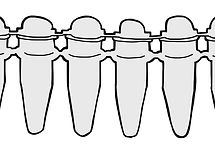 実験器具イラスト Vet Beluga 実験器具イラスト Vet Beluga