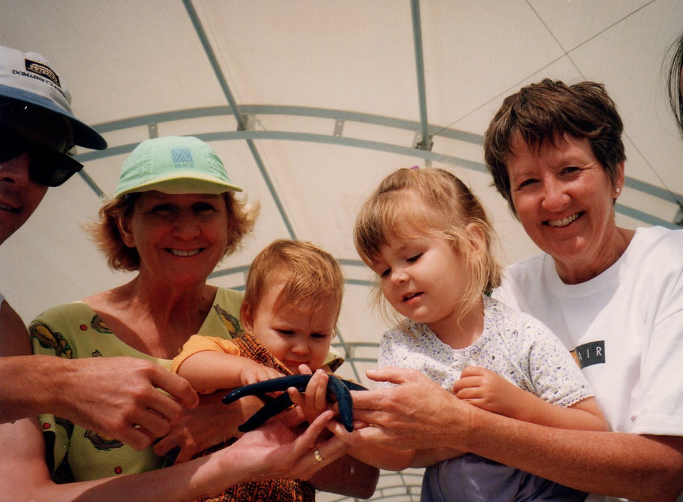 Reflections of a 73-year-old grandmother