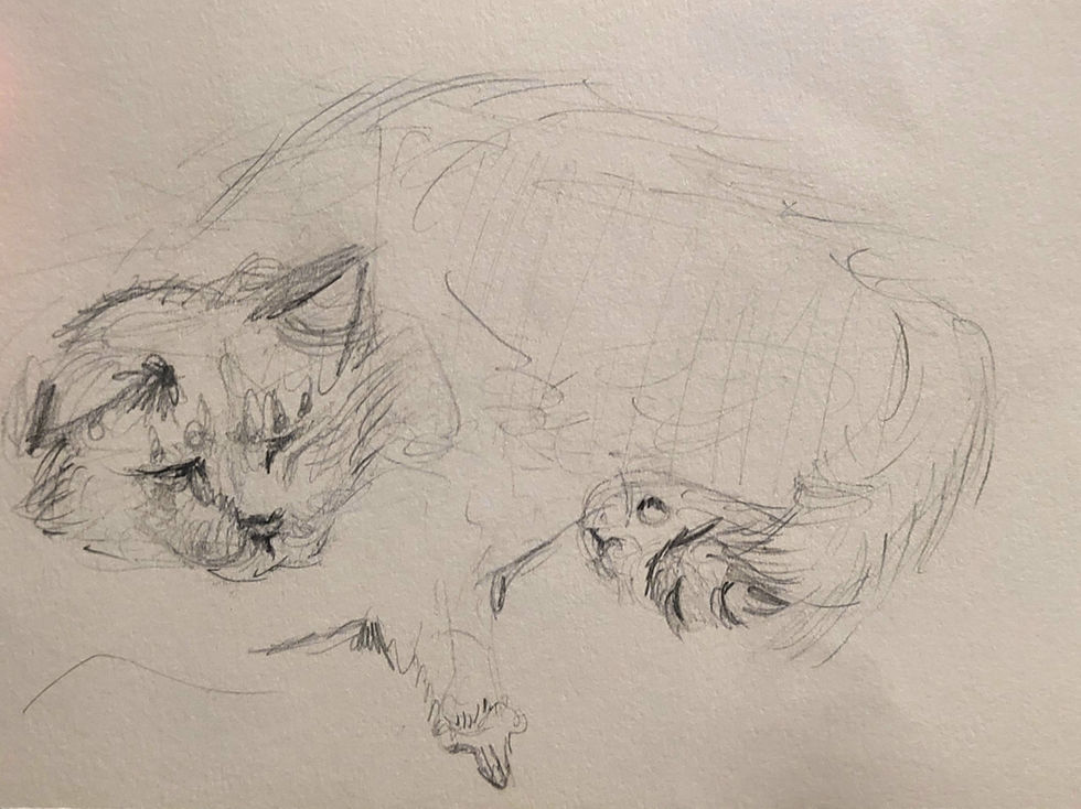 Cat Cafe Sketch