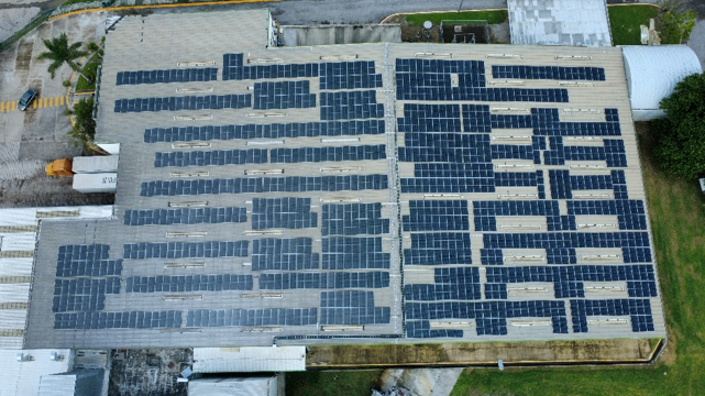 Paneles Solares: La Inversión Inteligente para Reducir Costos y Garantizar un Futuro Energético Sostenible