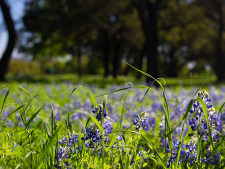 Asking for Help and Maturity