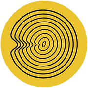 Percussao Circular
