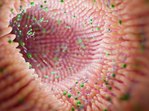 Microbioma intestinal, un mundo microscópico dentro de ti
