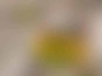 Los primeros días de una abeja melífera