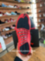 Miniatura: Jordan 12 Flu Game