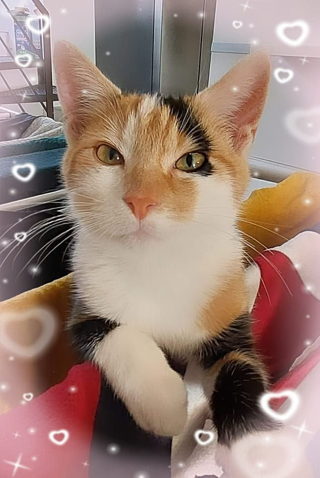 311605073_633678988138802_4835180764917975057_n